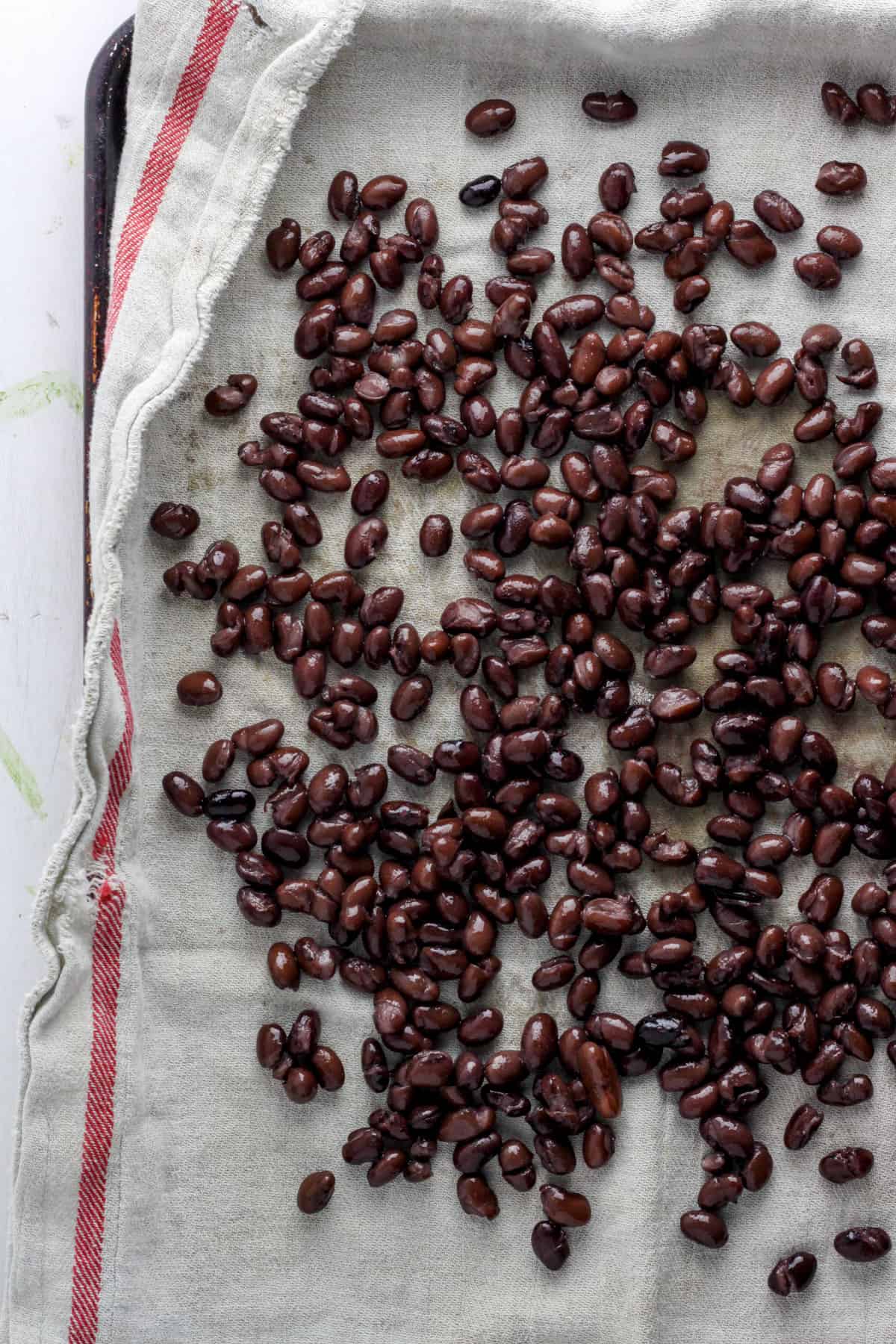 Black beans drying on a kitchen towel lined on a baking sheet.