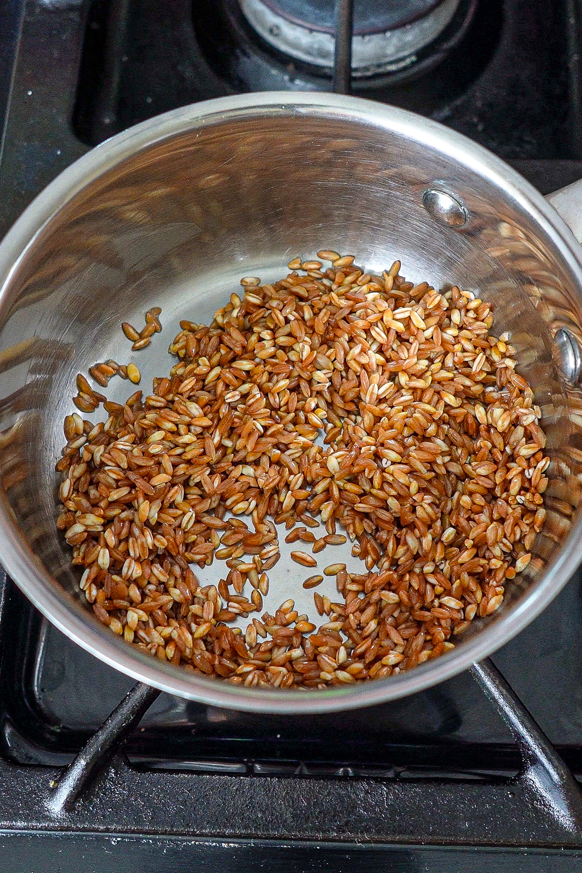 Farro toasting in a small saucepan.