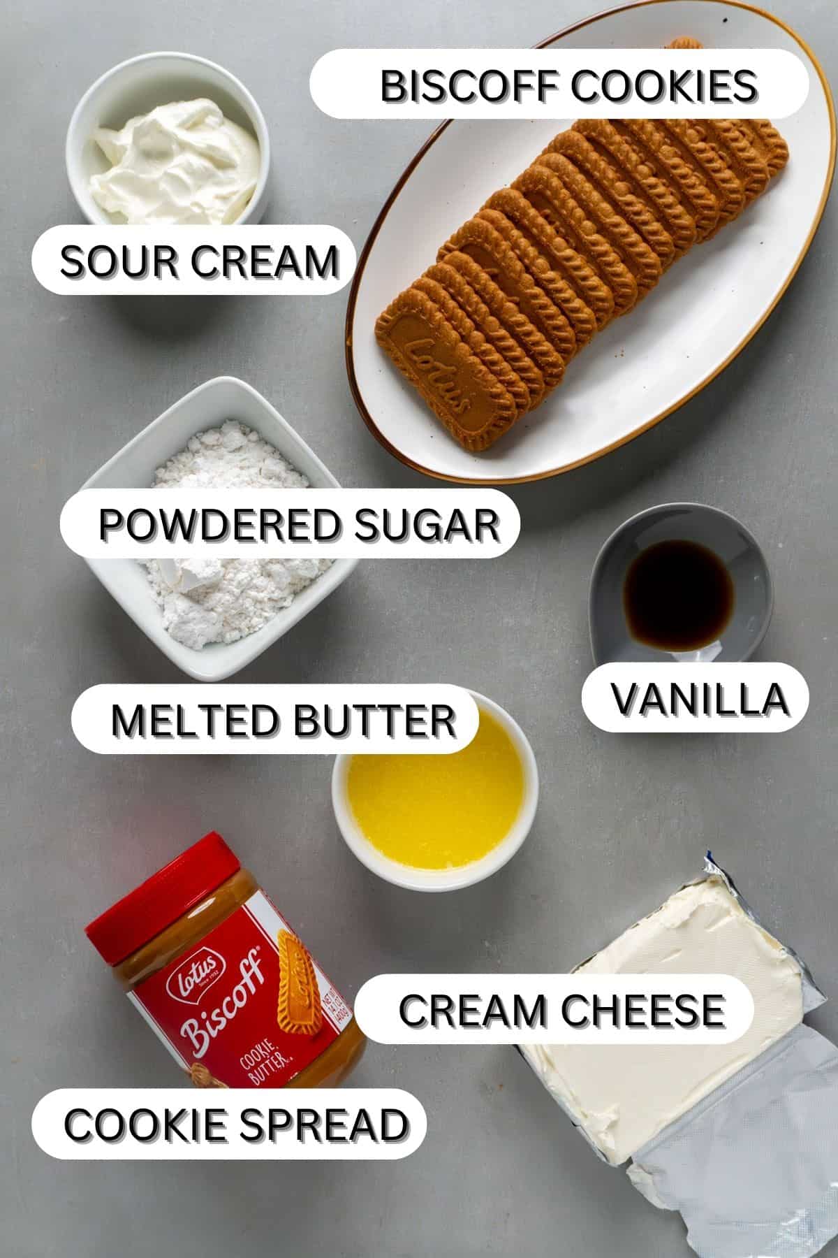 Ingredients for mini biscoff cheesecakes on a gray table.