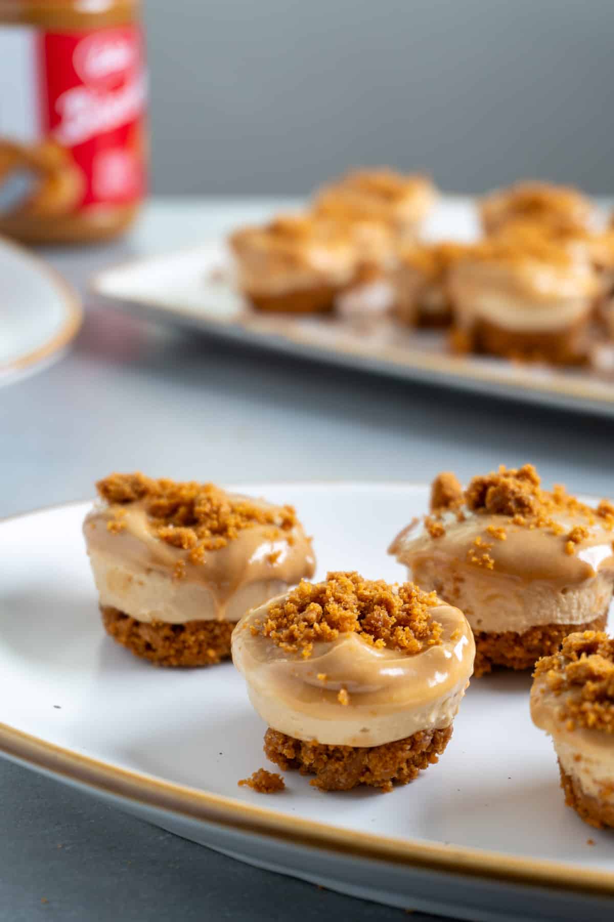 Mini biscoff cheese cakes on a small plate.