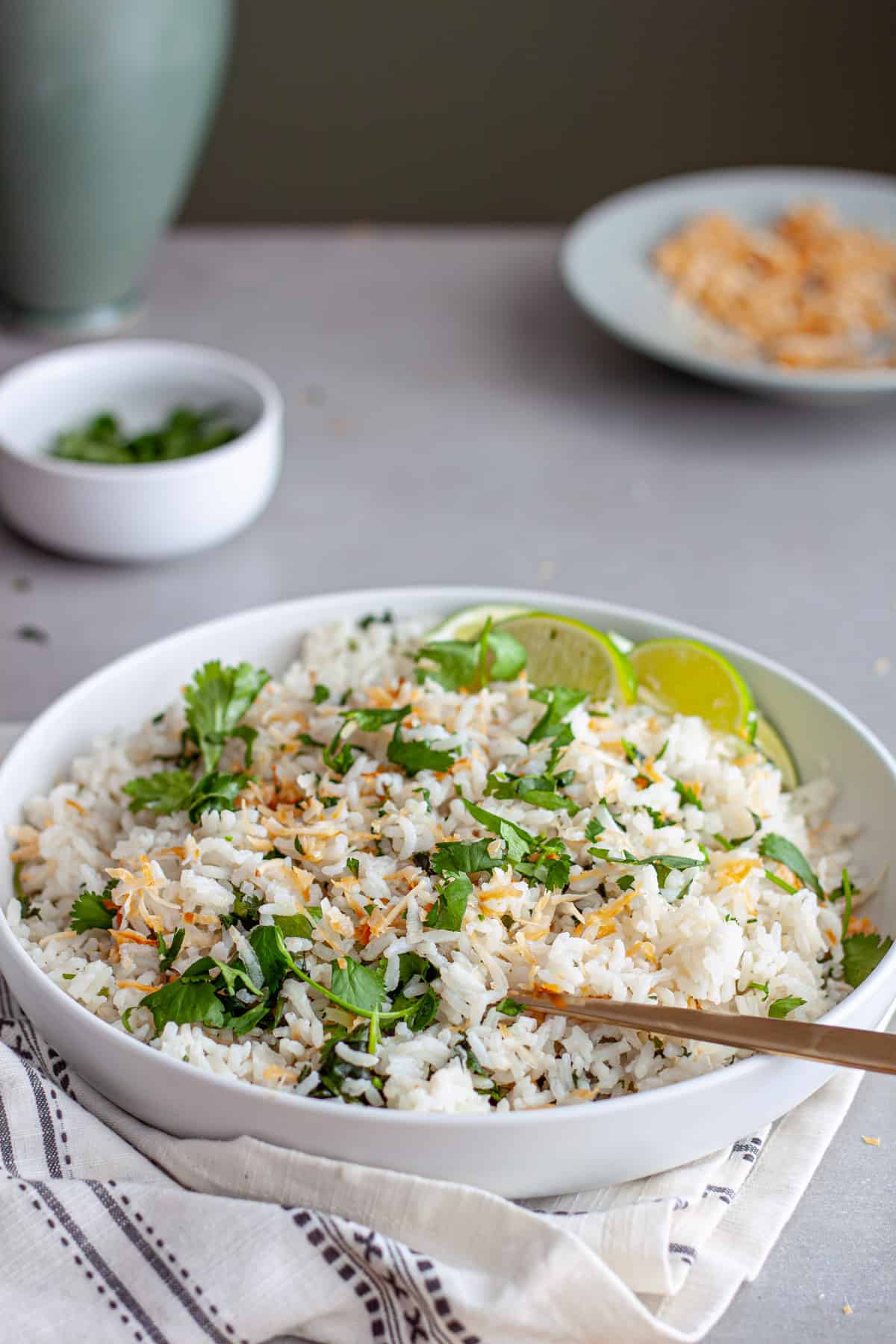 A serving bowl of coconut cilantro rice topped with toasted shredded coconut and cilantro.