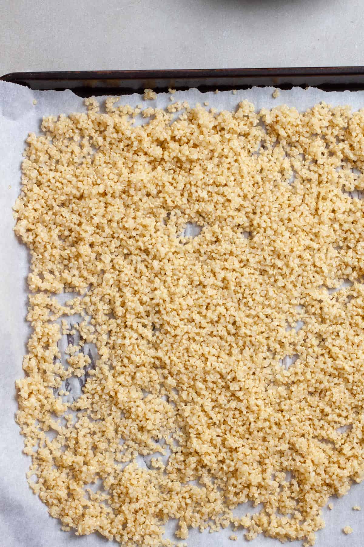 Cooked quinoa on a parchment-paper lined baking sheet.