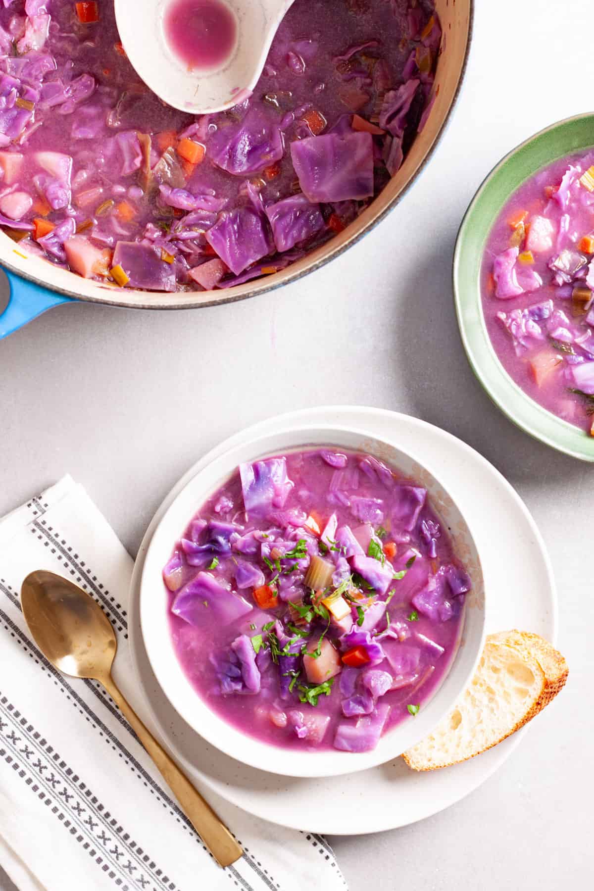 A couple servings of hearty red cabbage soup with the Dutch oven off to the side.