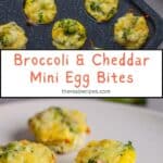 Mini broccoli and cheddar egg bites on a plate and in a mini muffin pan.