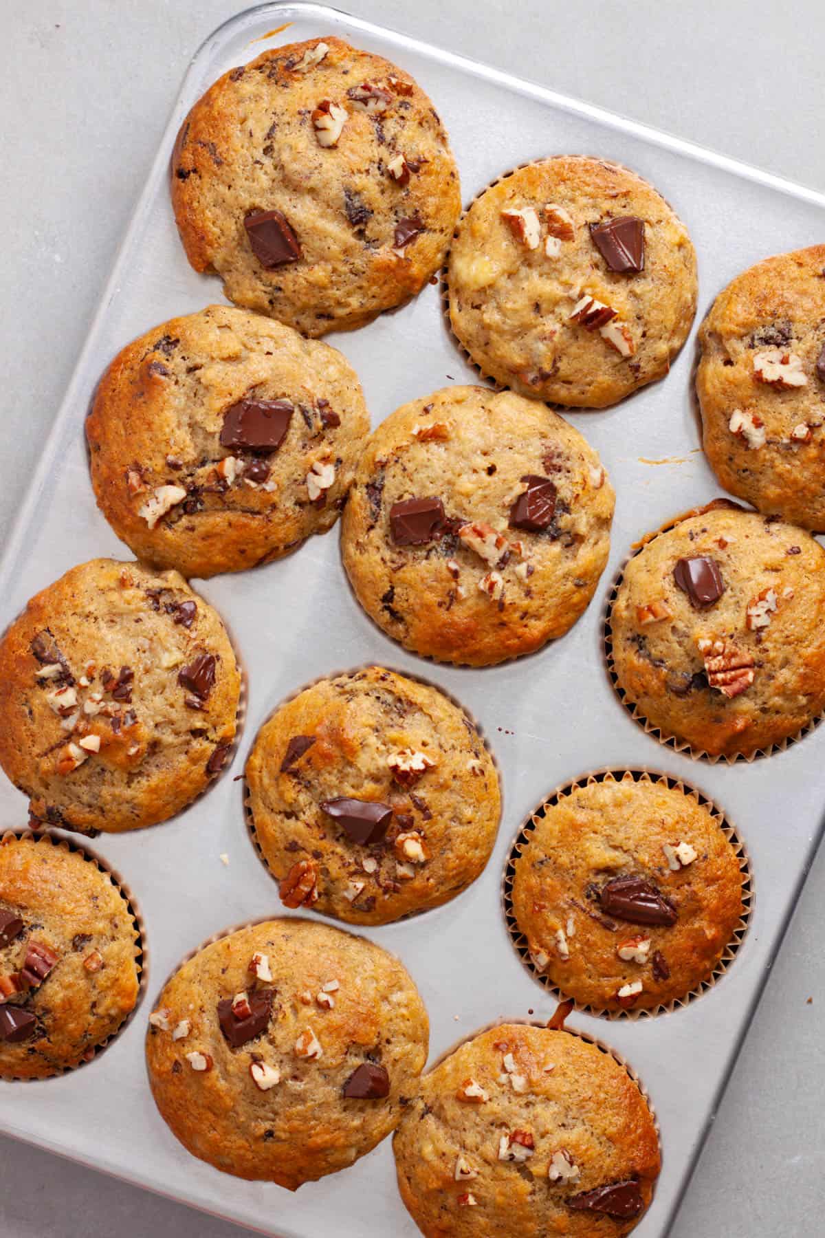 Freshly baked banana chocolate chip muffins in a metal muffin tin on a gray table.