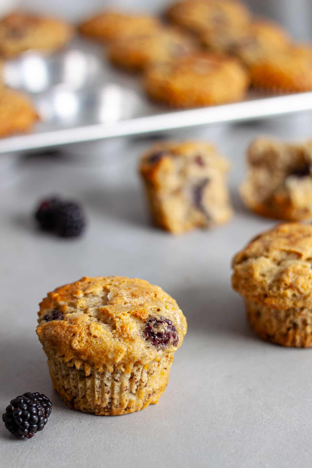 Blackberry banana oat muffins scattered on a gray table with a muffin tin in the background.