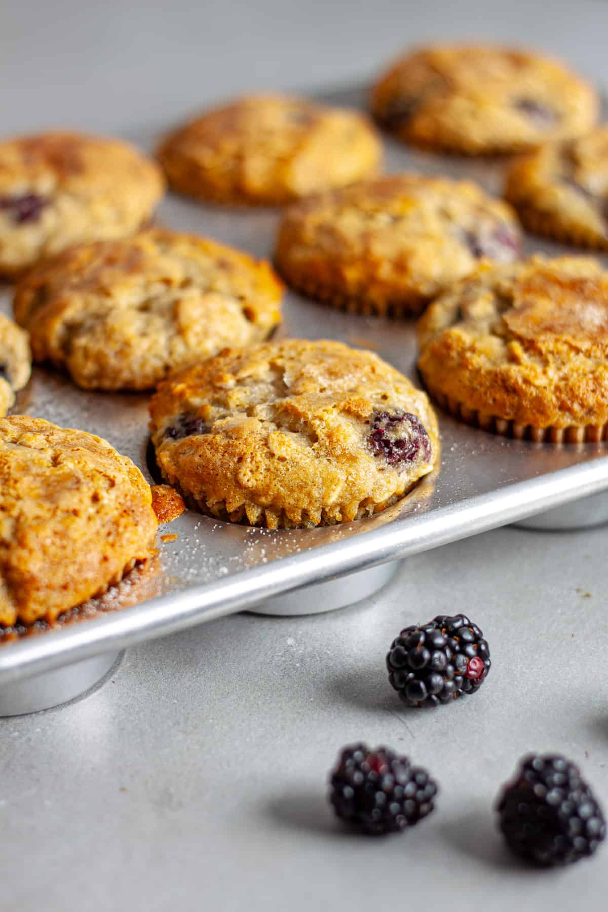 A muffin tin with blackberry oatmeal and banana muffins inside with some blackberries scattered in front.