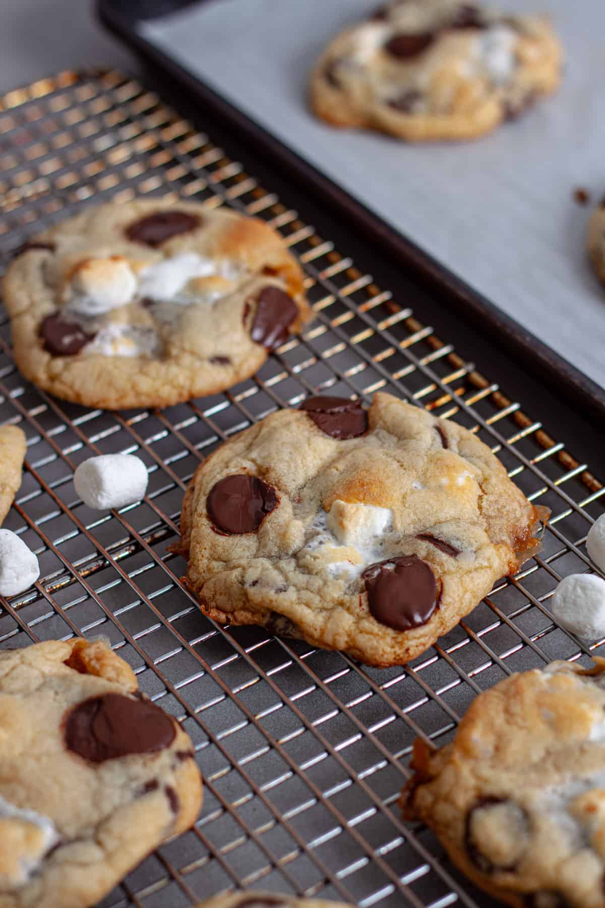 Gooey marshmallow and chocolate chip cookies cooling on a wire rack.