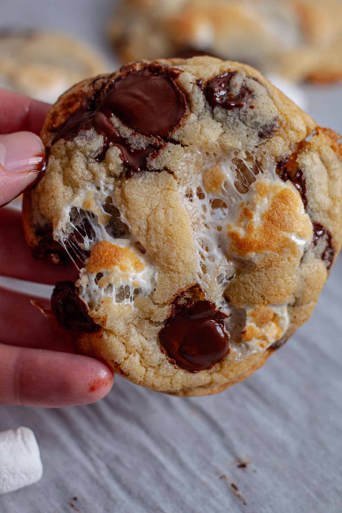 A close-up of a gooey marshmallow chocolate chip cookies.