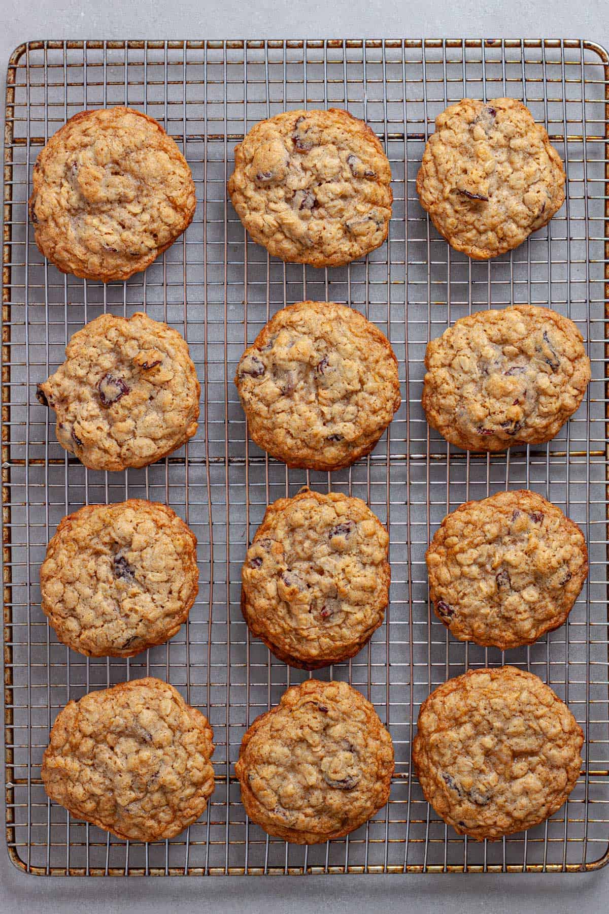 A wire rack with oatmeal cherry cookies in a neat line cooling.
