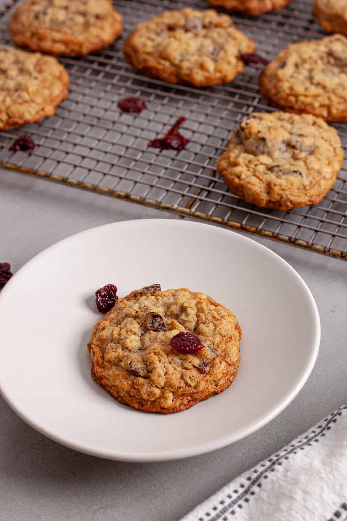 A wire rack with oatmeal cherry cookies and a single serving on a plate to the side with dried cherries scattered.