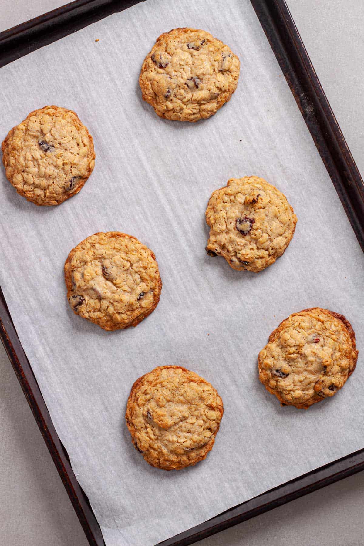 Oatmeal cherry cookies freshly baked on a parchment-lined baking sheet.