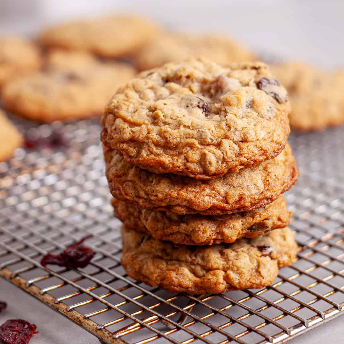 Oatmeal Cherry Cookies - The Real Recipes
