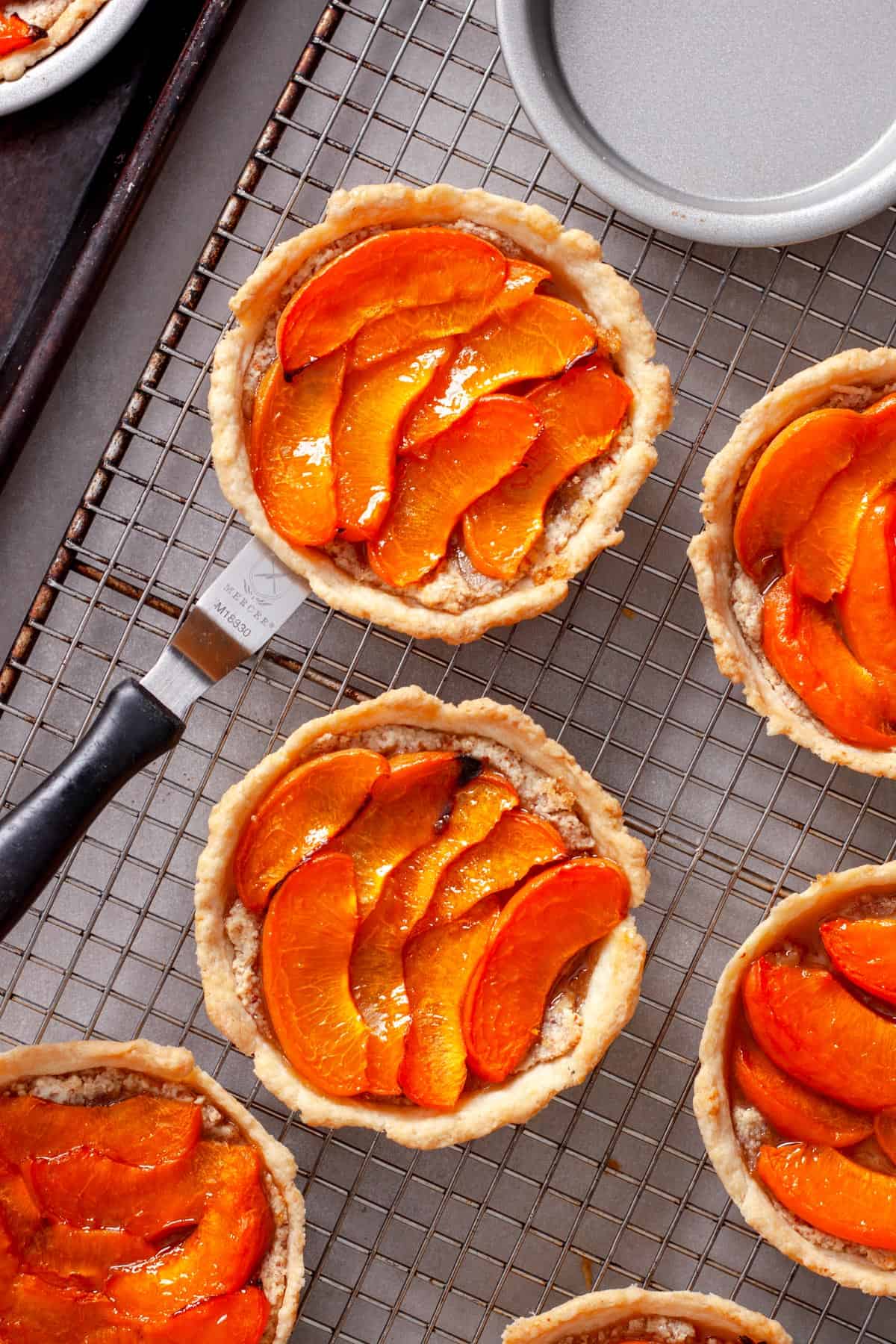 Mini apricot tarts cooling on a wire rack.