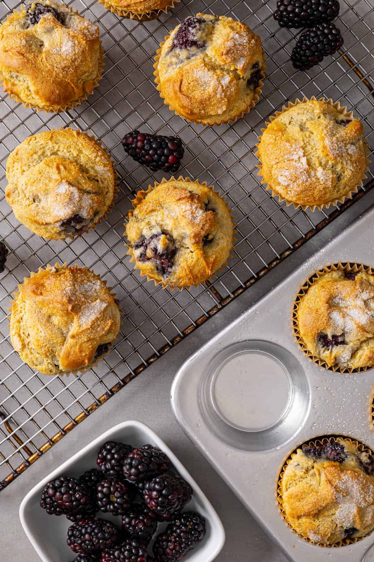 Blackberry muffins on a wire rack with berries scattered on the rack and in a small bowl.