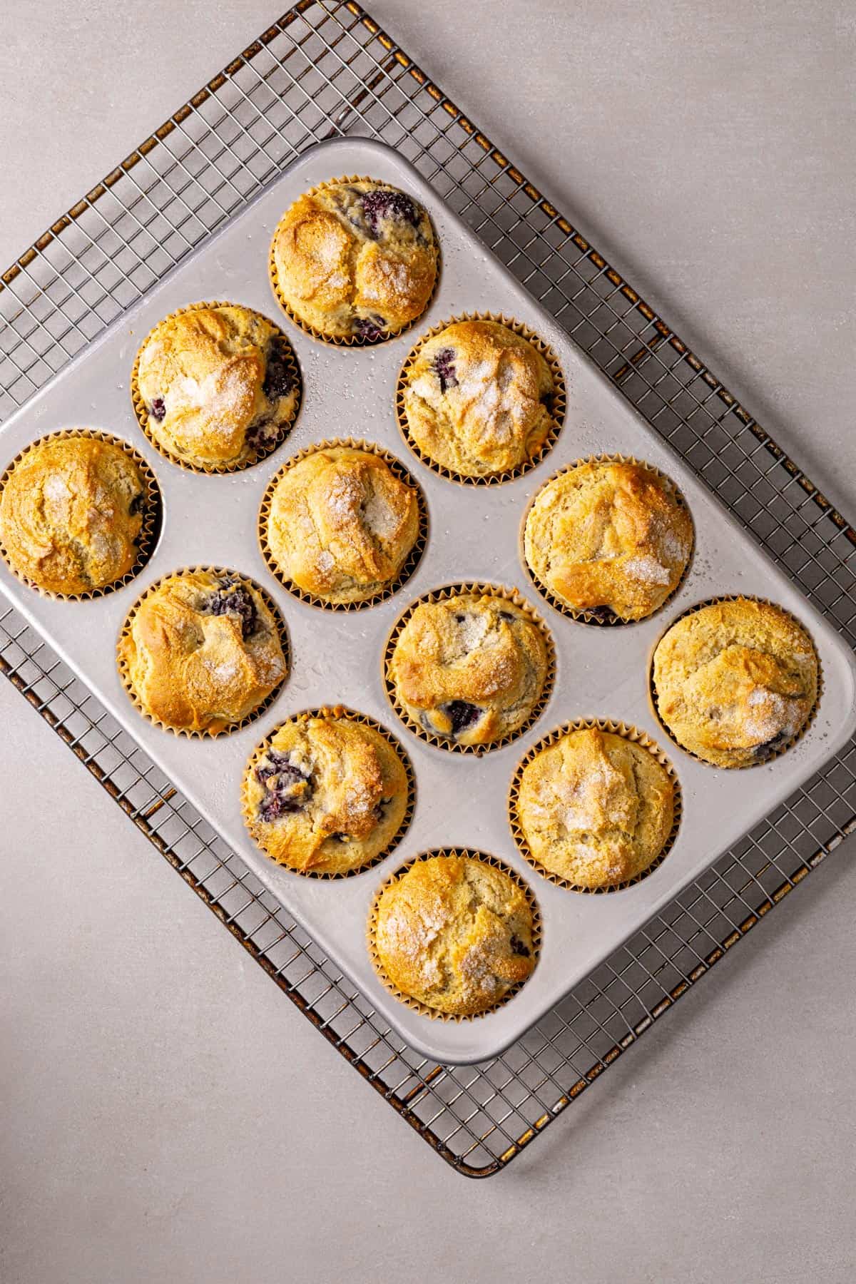 Gluten-free blackberry muffins cooling on a wire rack on a gray table.