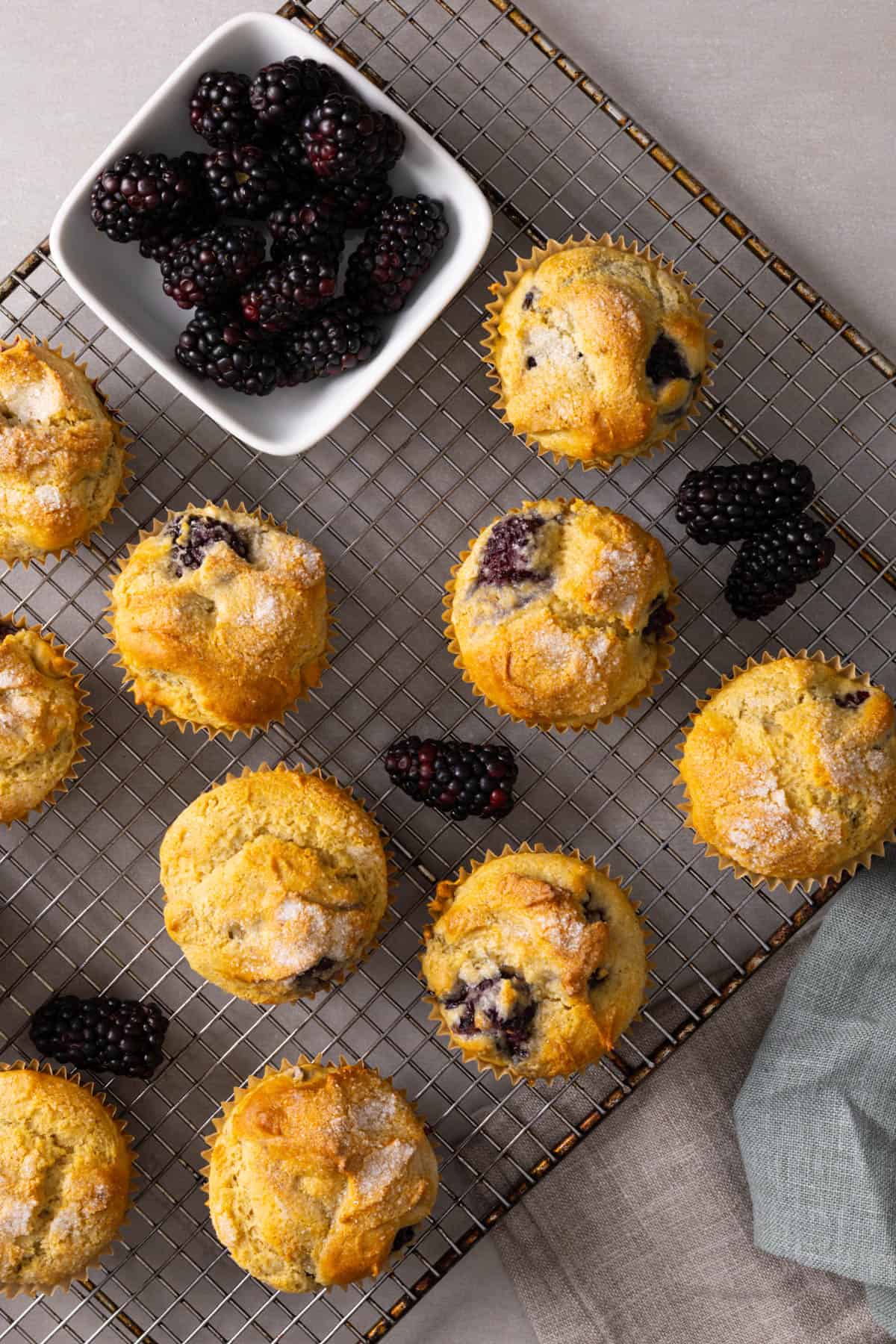 Blackberry muffins cooling on a wire rack with a bowl of berries to the side.
