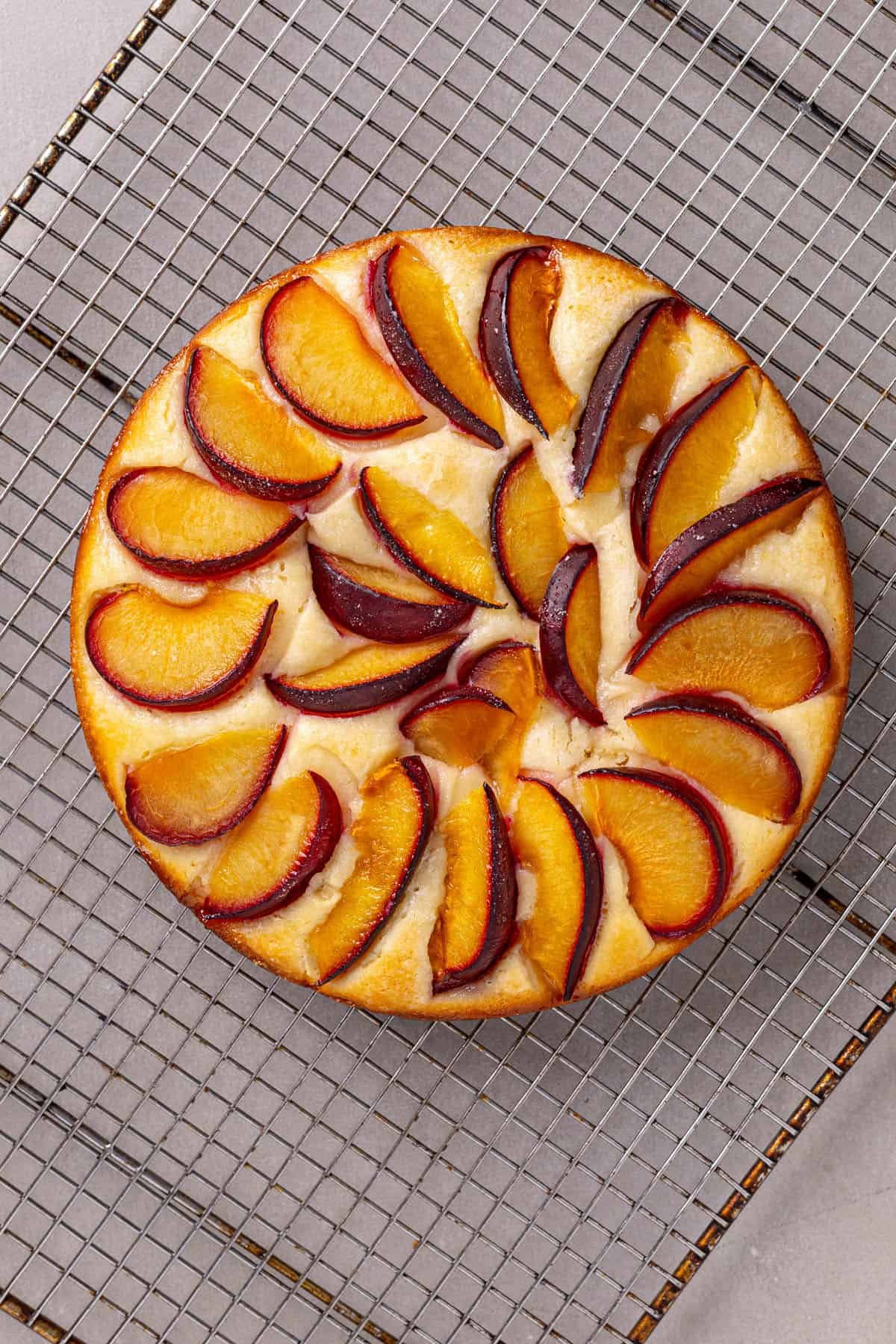 Plum yogurt cake cooling on a wire rack on a gray table.