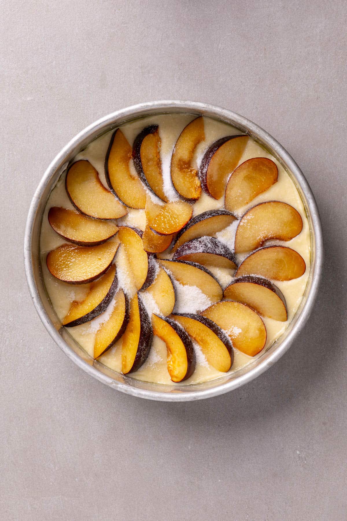 Sliced plums decoratively placed on a round yogurt cake dusted with sugar.