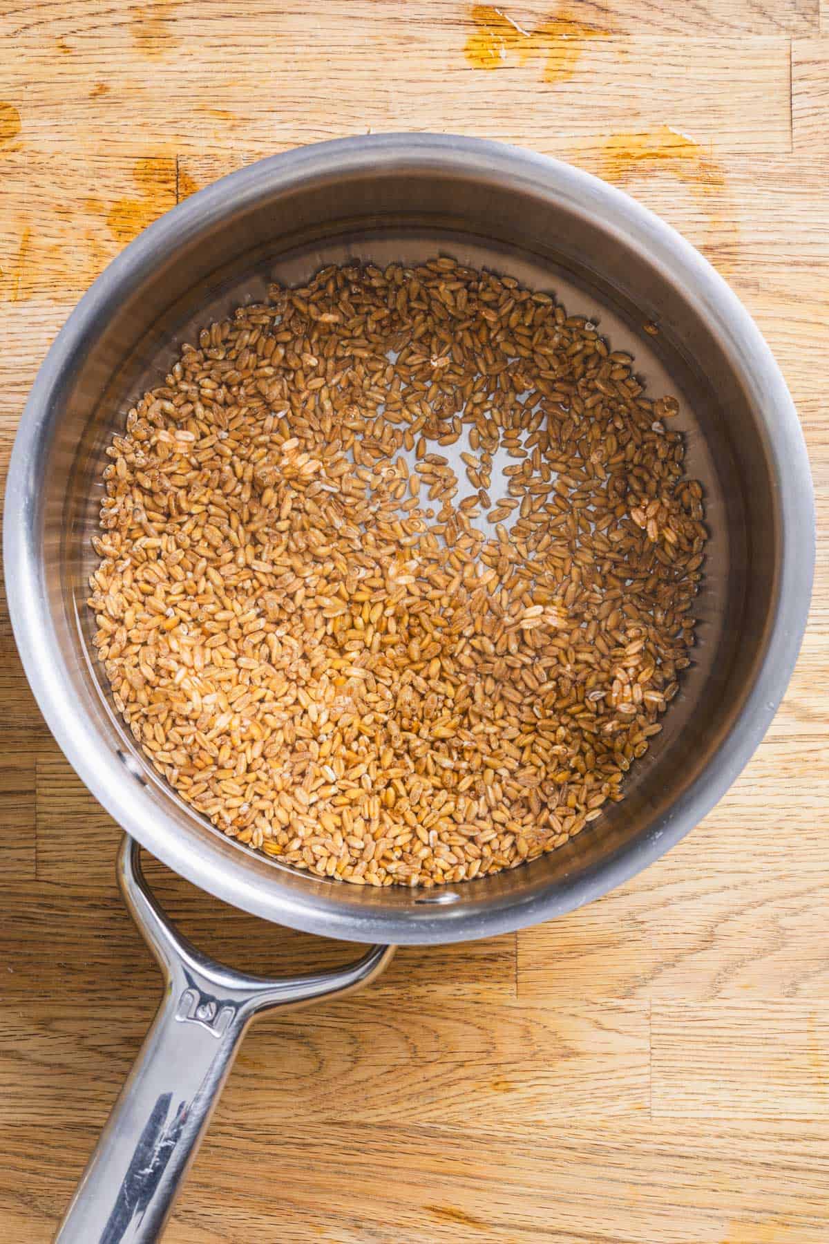 Cooked farro in a medium saucepan sitting on a butcherblock countertop.